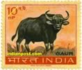 GAUR 0472 Indian Post