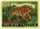 TIGER 0475 Indian Post