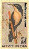 SCIMITAR BABBLER 0580 Indian Post