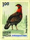 WESTERN TRAGOPAN 0765 Indian Post