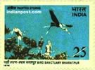 PAINTED STORKES 0800 Indian Post