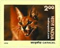 CARACAL 0828 Indian Post