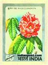 TREE - RHODODENDRON 0851 Indian Post