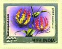 GLORIOSA LILY 0853 Indian Post