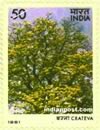 CRATEVA 1015 Indian Post