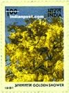 GOLDEN SHOWER 1016 Indian Post