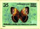 STICHOPHITHALAMA CAMADEVA 1019 Indian Post