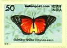 CETHOSIA BIBLIS 1020 Indian Post