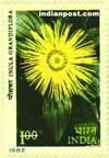 INULA GRANDIFLORA 1044 Indian Post