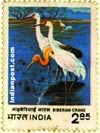 SIBERIAN CRANES AT BHARATPUR 1076 Indian Post