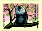 LIONTAIL MACAQUE 1100 Indian Post