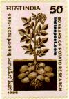 POTATO PLANT 1156 Indian Post