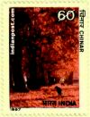 CHINAR 1271 Indian Post