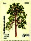 PIPAL 1273 Indian Post