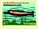 RIVER DOLPHIN 1441 Indian Post