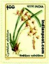 GYMBIDIUM ALOIFOLIUM 1470 Indian Post