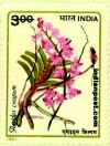 AERIDES CRIPSUM 1472 Indian Post